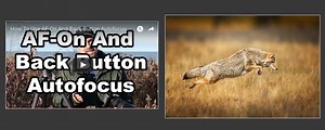 AF-On And Back Button Autofocus - Backcountry Gallery