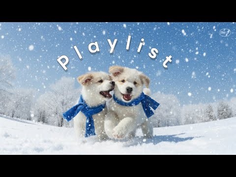 Good Morning Pop Playlist ❄️ Cafe, Study, Commute BGM | Hay G✨