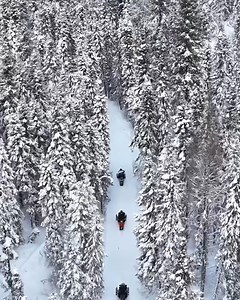 18K views · 1K reactions | Saskatchewan’s vast, interconnected snowmobile trails are just the place for an epic winter thrill! Glide through 22,000 acres of powdery boreal forest, carve up pristine trails, and soak in the magic of the Land of Living Skies. ❄️ After a big day on the sled, warm up by a crackling fire and toast to your frosty adventure.  : Wildcat Hill Provincial Park, Saskatchewan : Tourism Saskatchewan | Canada Keep Exploring | Facebook