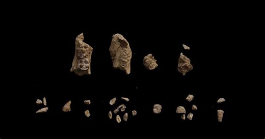 Nova saznanja o tome kako su drevni hominini koegzistirali u istoj oblasti