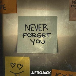 Afrojack - Never Forget You | Top 40