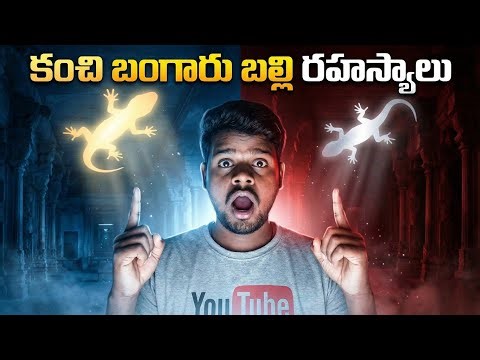 బల్లి పడితే కంచి బంగారు బల్లి ఎందుకు? అసలు నిజం ఇదే!