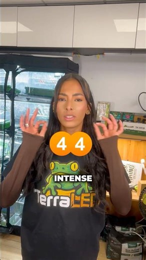 Lampe à 30 cm vs 2 m : l’impact réel sur ta plante 🌱💡