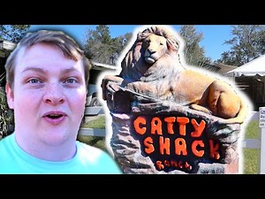 Exploring Jacksonville's Catty Shack Ranch Big Cat Sanctuary