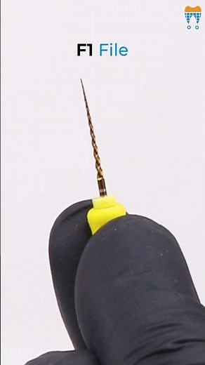 Waldent Pro-Taper Gold Hand File 21mm Assorted SX-F3