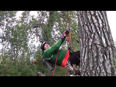 Petzl crevasse rescue kit practice ascending a rope