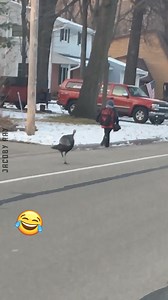 30K views · 177 reactions | Encountering Wild Animals | Jacoby Ray | Facebook