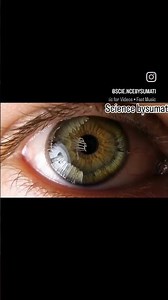 #StemCellResearch #EyeStemCells #HumanEyeScience #OphthalmologyResearch # #ScienceBySumati