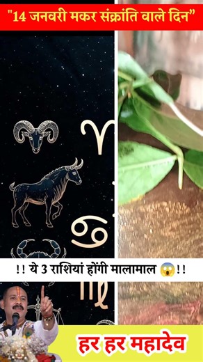 "⚠️सावधान! 14 जनवरी मकर संक्रांति वाले दिन ये 3 राशियां होंगी मालामाल💰😱! #pradeepjimishra #shorts"