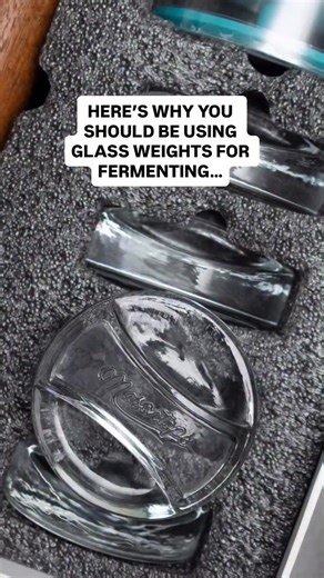 Your ferments deserve the best chance at success — and that’s where Pickle Pebbles glass fermentation weights come in. 🙏 🤗 Here are the reasons why you should use them: -Keeps Produce Submerged: Ensures all vegetables stay below the brine, preventing exposure to air and reducing the risk of mold. -Prevents Spoilage: By keeping ingredients submerged, glass weights help maintain a safe anaerobic environment for fermentation. -Reduces Air Pockets: Helps to eliminate air bubbles that can interfere