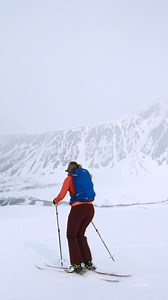 2.7K views · 57 reactions | Be the fastest in the family tree with our X16 Elliptical and experience workouts personalized just for you with NordicTrack + iFIT. | NordicTrack | Facebook