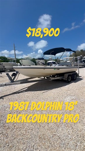 $18,900 | Proven Classic 1987 Dolphin Backcountry Pro 18’ for Sale.