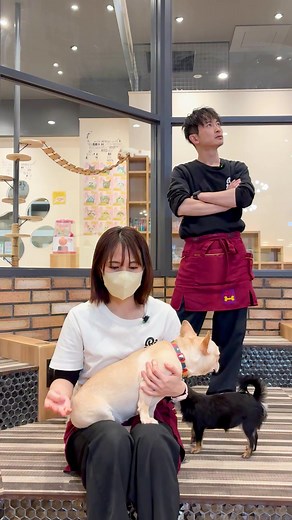 犬と猫の楽園！りんくう常滑駅近くのカフェ