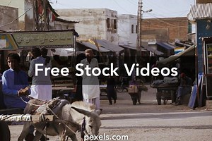 Small Ass Videos, Download The BEST Free 4k Stock Video Footage & Small Ass HD Video Clips