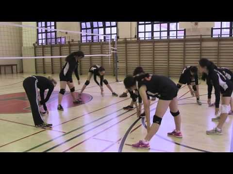 Stretching Exercises for Volleyball