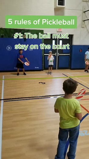 Rules and Basics of Pickleball: A Comprehensive Guide