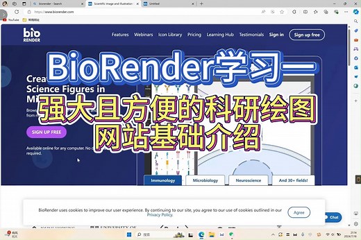 【科研绘图】BioRender基础介绍—生物化学类科研示意图绘制学习。