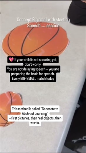 Big - small Concept | Before Speech Comes Understanding💡| Teaching BIG–SMALL to a Non-Verbal Child |