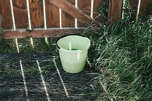 Does This DIY Mosquito Bucket of Doom Work?