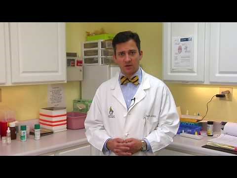 Kids' Health & Pediatrics : Causes of Seizures in Children