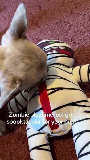 Engaging Halloween Dog Toy for Destructive Chewers