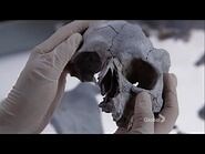 Bones 11x01 - Brennan examines the bones