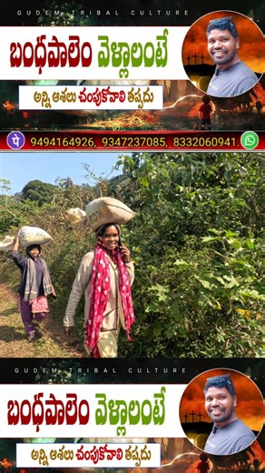 GUDEM TRIBAL CULTURE on Instagram: "బందపాలెం సువార్త ప్రయాణం 🌿🌿 అందరికీ వందనాలు నా పేరు సతీష్ (సామ్యూల్) ఏ మినిస్ట్రీకి ఆధారపడకుండా 12 సంవత్సరాలుగా దట్టమైన అడవి ప్రాంతంలో ఉంటూ దేవుని సువార్త సేవ చేస్తూ సంఘాలను నడిపిస్తున్నాను. మా కొరకు మా పరిచర్యల కొరకు ప్రార్థించండి దేవుడు మిమ్మల్ని దీవించును గాక. ఈ పరిచర్యల కొరకు కేవలం ప్రేరేపించబడిన వారు మాత్రమే ఆర్థికంగా సహకరించండి. Busari sathibabu a/c:28643211087250 IFSC:UCBA0002864 UCO Bank Busari sathibabu a/c:44097291556 IFSC:SBIN0000886 Branch code:8