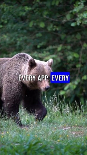 The SECRET LANGUAGE that Runs Our World (and YOU can learn it!)