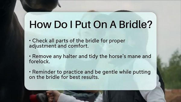 How Do I Put On A Bridle? - The Horses Stable