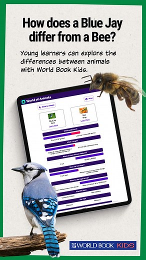 3K views | Help learners understand the differences between animals with World Book Kids! Students can select between different animals and see how they compare in size, color, and more. Try it out: https://bit.ly/43gB5PW #WorldBookOnline #DigitalLearning | World Book | Facebook