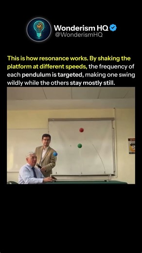 The Physics of Resonance Explained