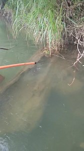 Ka pangisda naman tayu mga idol ( full vedio) | ED & LYN fishing