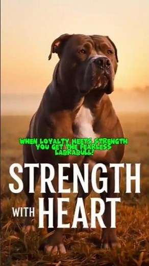 Labrabull | Labrador Retriever + Pit Bull Mix #Labrabull #DogMix #ViralShorts