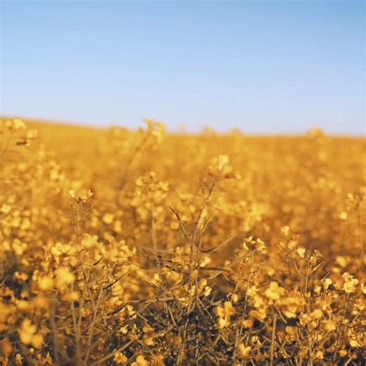 GOOD MORNING 😁 | TOP FM Mauritius