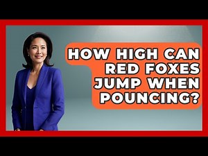 How High Can Red Foxes Jump When Pouncing? - The Wild Life Explorer