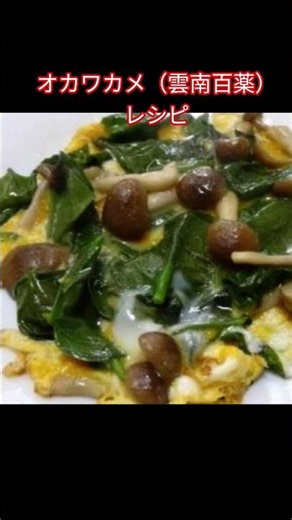 オカワカメ（雲南百薬）レシピ #オカワカメ #雲南百薬 #スーパーフード #ガーデニング #食べられる日除けカーテン