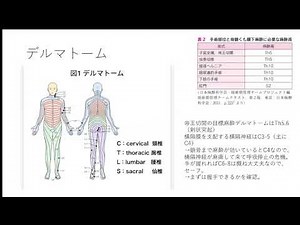 【まとめ】帝王切開の麻酔【硬膜外麻酔の合併症】