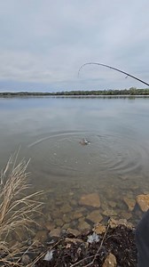 94K views · 822 reactions | Fastest fishing show part 2! | TUT Outdoors | Facebook