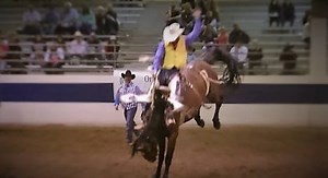 UW cowboy Wyatt Hageman captured the saddle bronc riding lead in the opening night performance of the final fall season Central Rocky Mountain Region rodeo in Cheyenne. Laramie County Community College is host to the contest. Tonight's show starts at 7pm in the LCCC arena. Hageman drew a nice one out of the Hamaker family Summit Pro Rodeo Co. horses based in Centennial, WY. Wyatt completed his work earning 73 points: | Team Wyoming - The Rodeo Hand