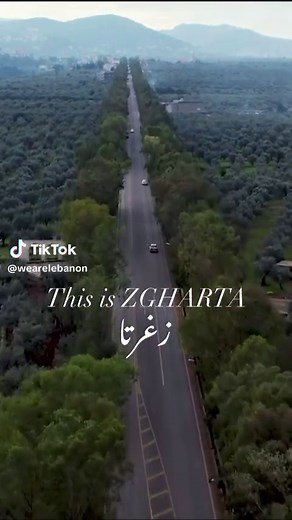 Explore the Enchanted Road to Zgharta & Ehden with Over 1 Million Trees!