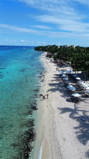 95 reactions · 12 comments | Feel the freedom of Cozumel's largest natural beach... A paradise framed by nature, made for unforgettable moments. #Cozumel #secretsauracozumel #cozumelisland #beachvacation | Secrets Aura Cozumel | Facebook