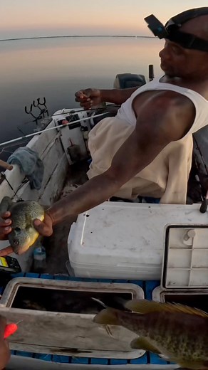 4.9K views · 79 reactions | DOUBLE UP ALERT! Shellcrackers couldn’t escape this pondhopper today!  #fishing #florida #outdoors #outdoorswithbear #fun #fish #livinglife #family #fypage #pesca #goodenergy #goodvibes #positivevibes #bigfish #nicecatch #lake #pondhopper #boat #ilovegod #shellcracker #foryoupage #reccomended #explore #poppabear #outdoorsman #outdoorsmanbear #fishingdaily #fishingaddict #catfish #shellcracker | Bear Battle | Facebook