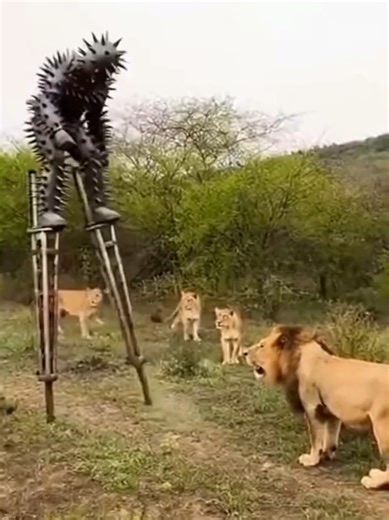 Hilarious Stilt Fail: Cactus Man's Funny Horror Story