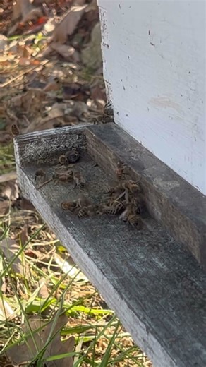 From 6F to 56F in two days 😳