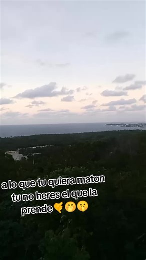 Videos de @chica alíen (@chicaalien3) con “sayonara - _cabeza”