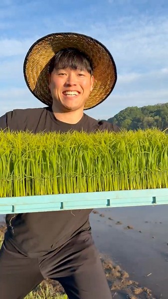 朝、田植えとほうれん草の収穫