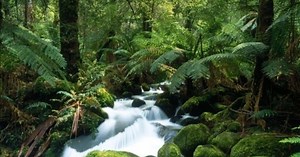 Tu es ma force - Stéphane Quéry