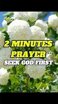 LORD I SEEK YOUR GUIDANCE TODAY | Short Morning Prayer for Inspiration and Strength