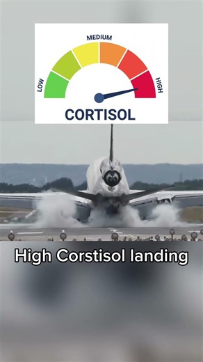 Low Corstisol landings be like #aviation #aviationgeek #aviationlovers #hardlanding #softlanding