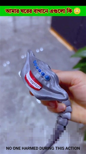 What are these in my garden? 😳